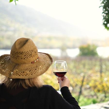 וילה ריאל Quinta Das Casas - Douro Winery & Villas מראה חיצוני תמונה